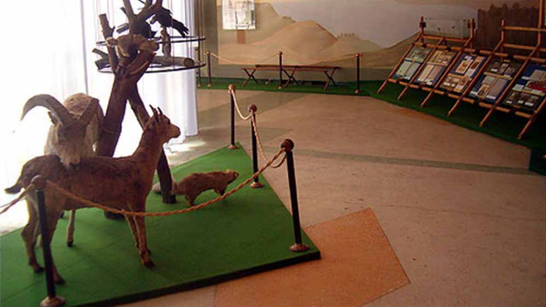 gallery-beside-museum-03