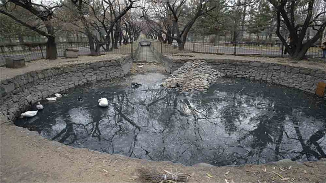 gallery-beside-zoo-04